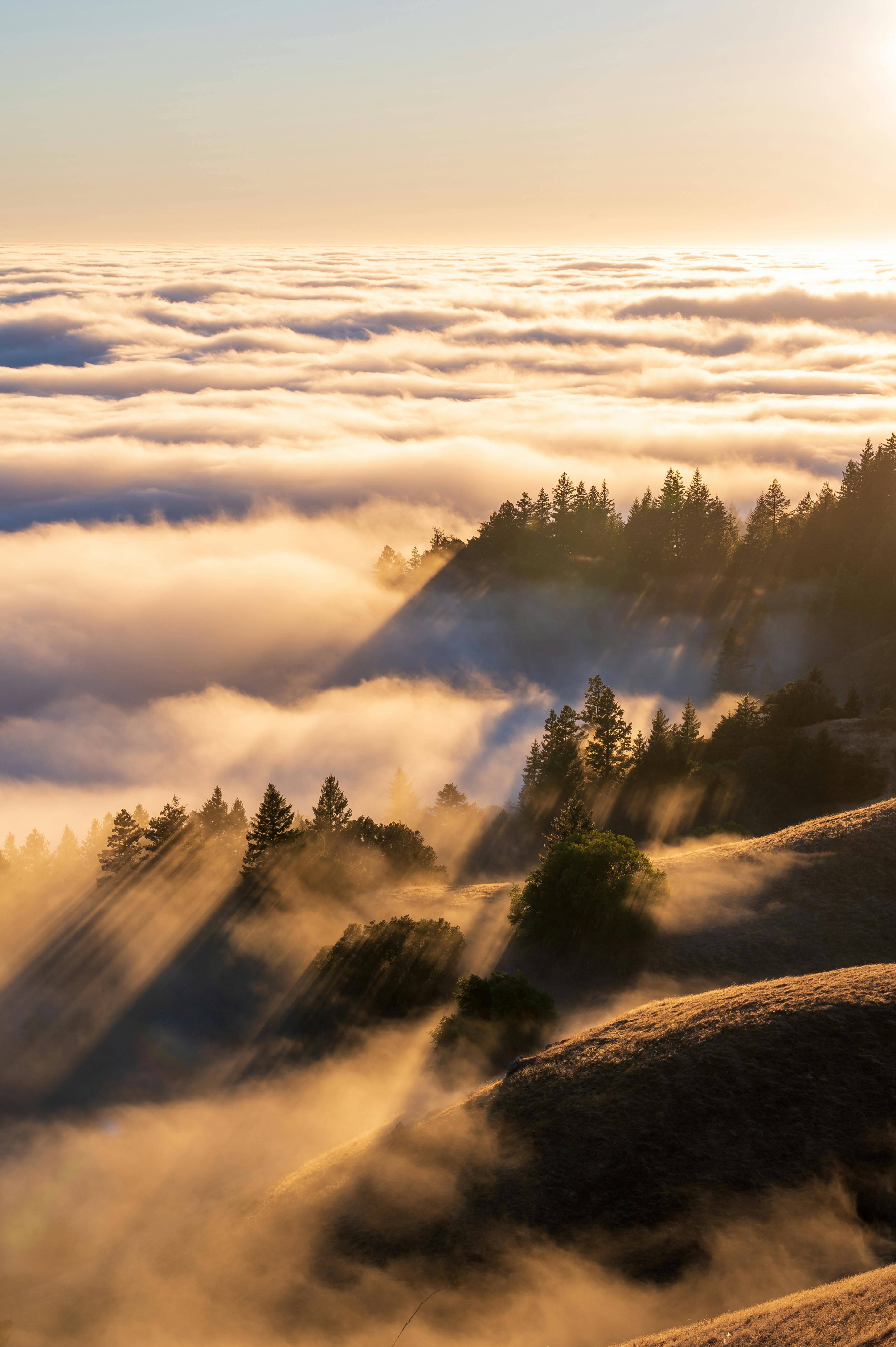 Silencing Your Inner Self-Critic, Compassionately